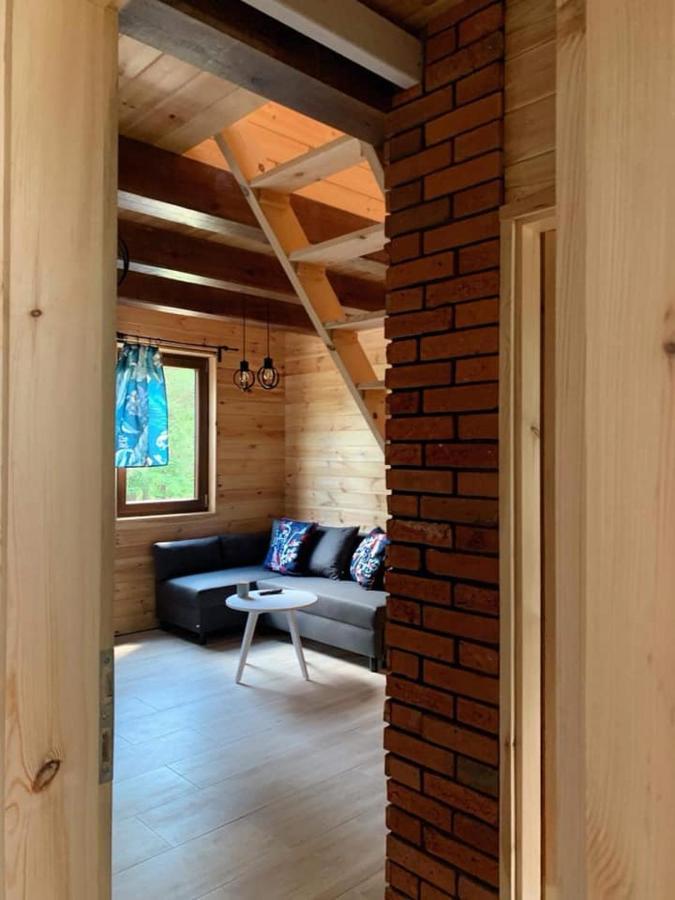 Nad Czarna Villa Sielpia Wielka Ngoại thất bức ảnh